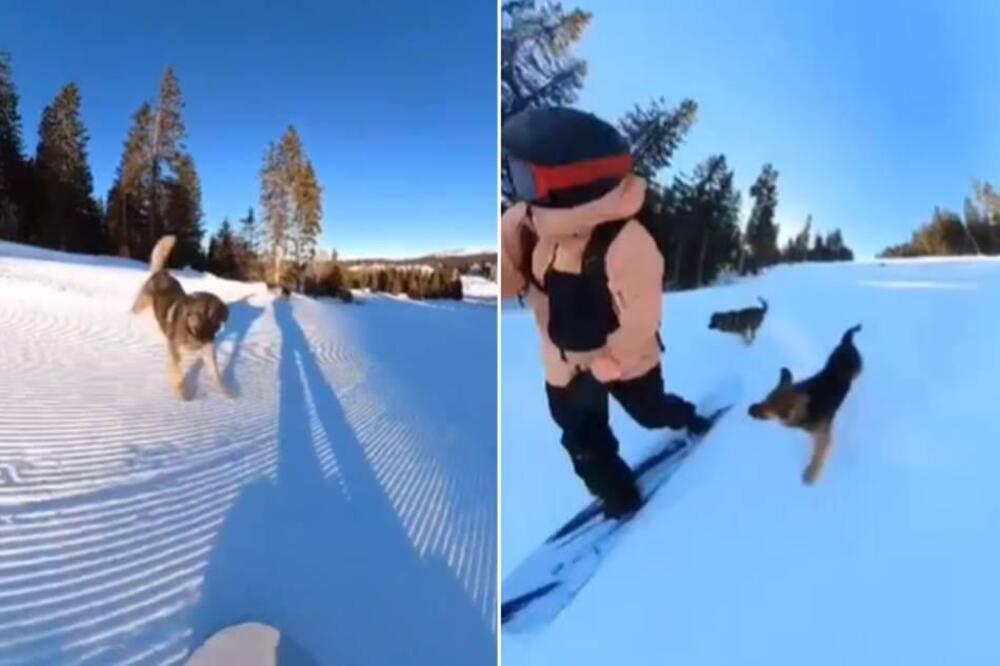 ČOPOR PASA NAPAO SKIJAŠA NA KOPAONIKU: Jurili ga dok se spuštao stazom, a onda ga jedan UGRIZAO (VIDEO)