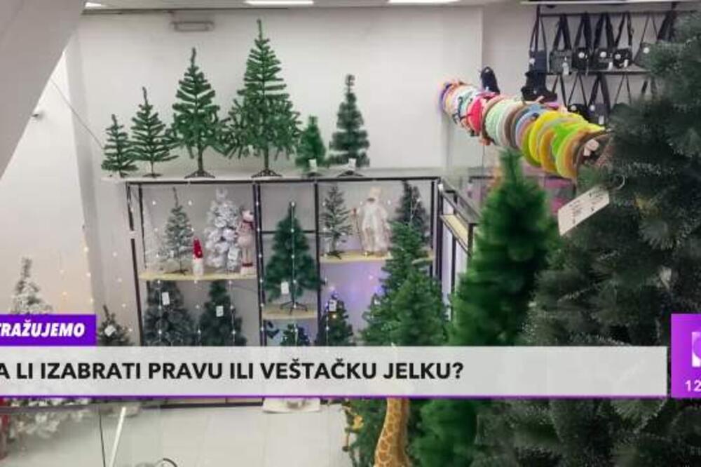 PRIRODNA ILI VEŠTAČKA JELKA: Šta je bolja opcija? (VIDEO)