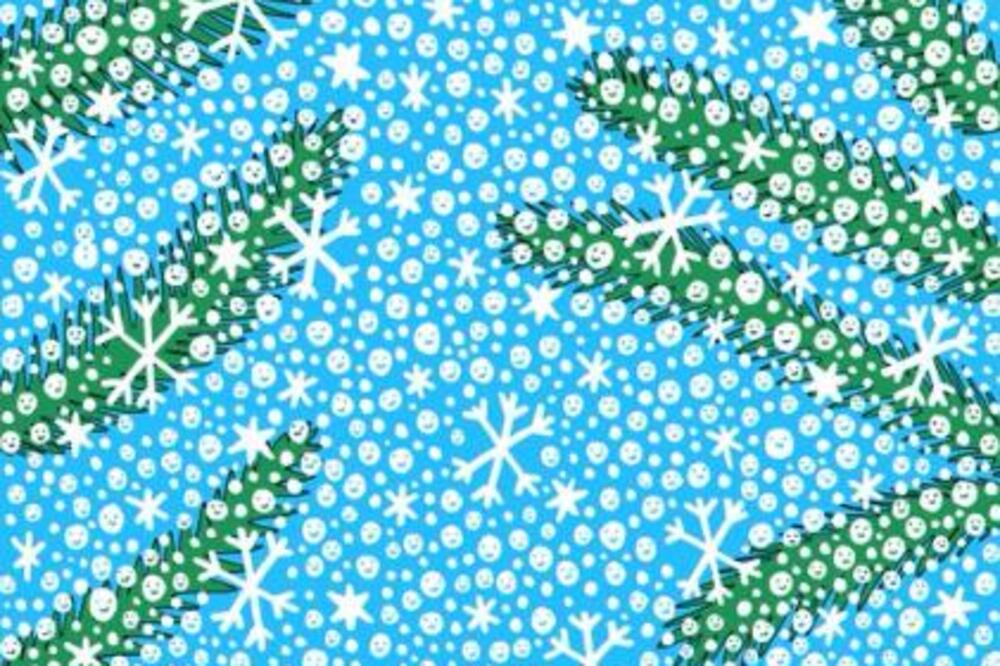 SAMO VISOKO INTELIGENTNI LJUDI MOGU DA PRONAĐU SNEŠKA BELIĆA ZA 7 SEKUNDI: Proverite da li ste među njima (FOTO)