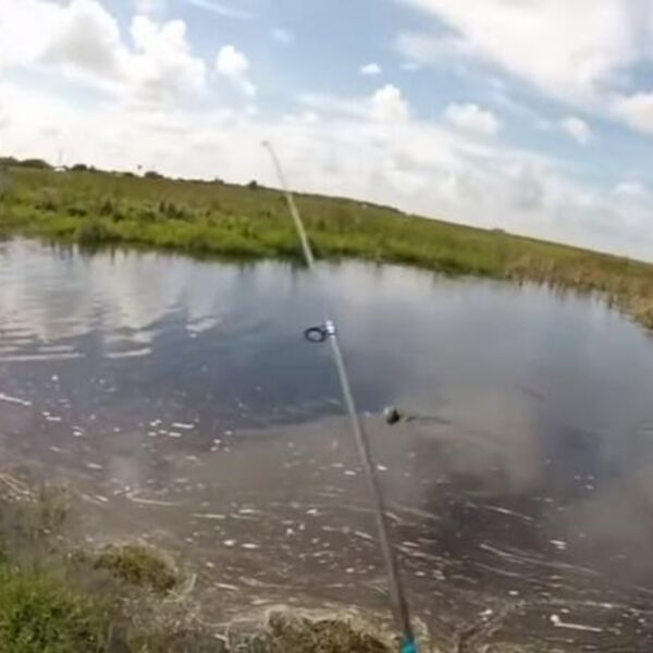 MIRNO JE PECAO, A ONDA JE ŠTAP POČEO DA GA VUČE U VODU: Kad je video šta je na drugom kraju, počeo da vrišti