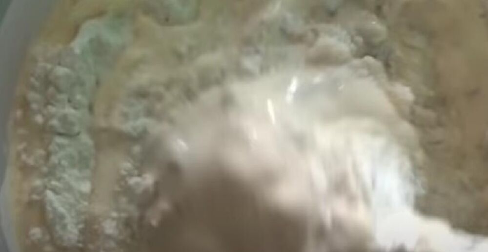 Smesa za koru za svetogorski kolač sa suvim voćem