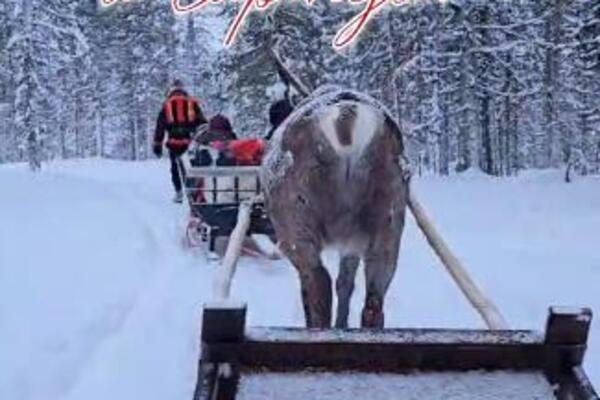 KOLIKO KOŠTA DA POSETITE LAPONIJU: Najskuplje je iznajmiti automobil, a koliko košta ostalo? (VIDEO)