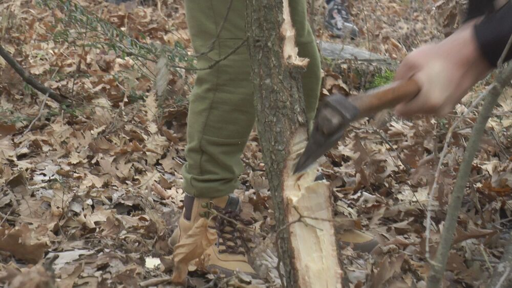Miloš sa sinom otišao po badnjak