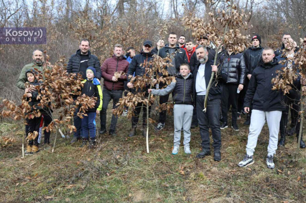 MILOŠ I STEFAN I OVE GODINE DOŠLI PO BADNJAK! Poštuju TRADICIJU i ostaju NA SVOM OGNJIŠTU (VIDEO)