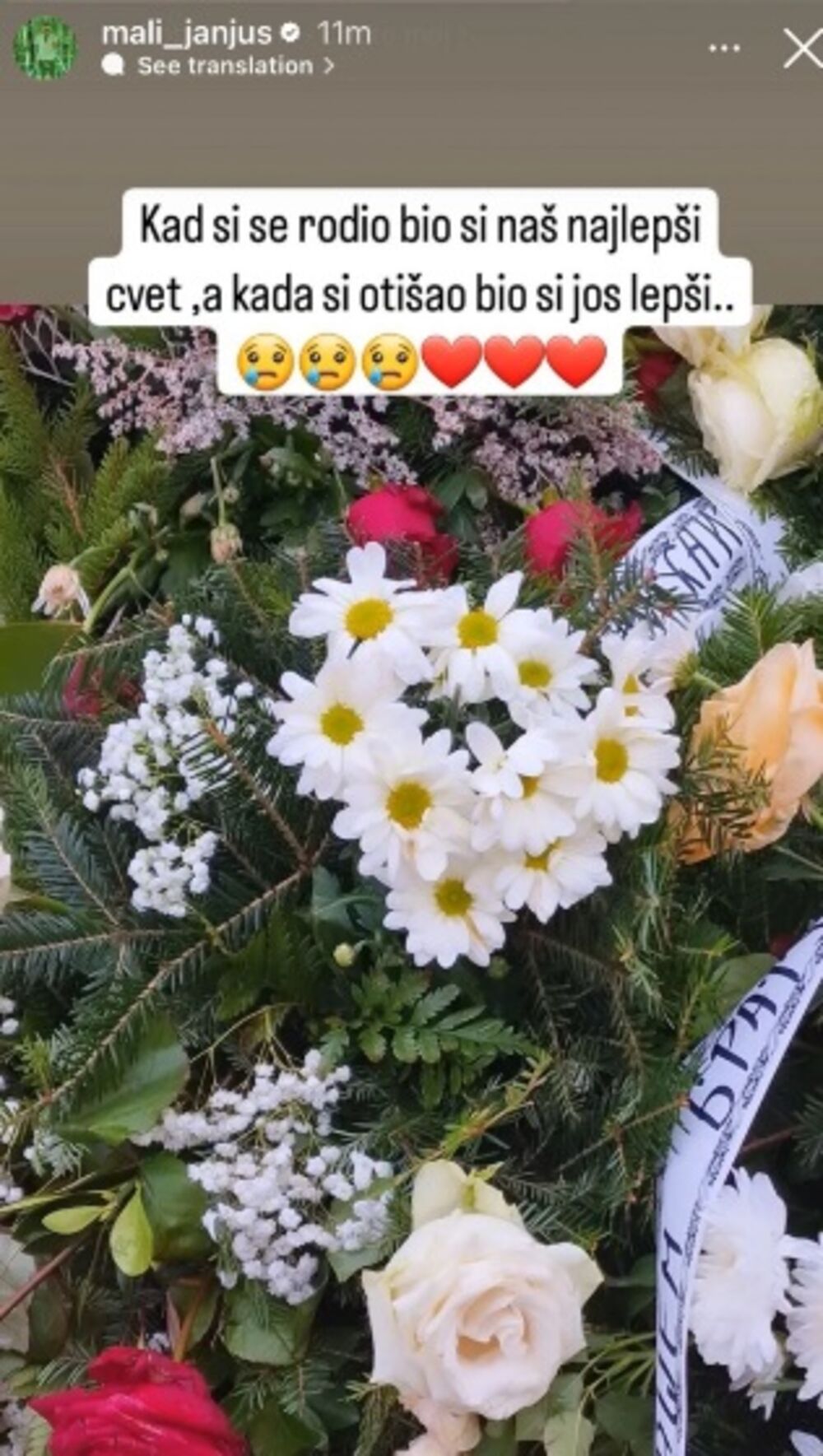 Marko Janjušević Janjuš