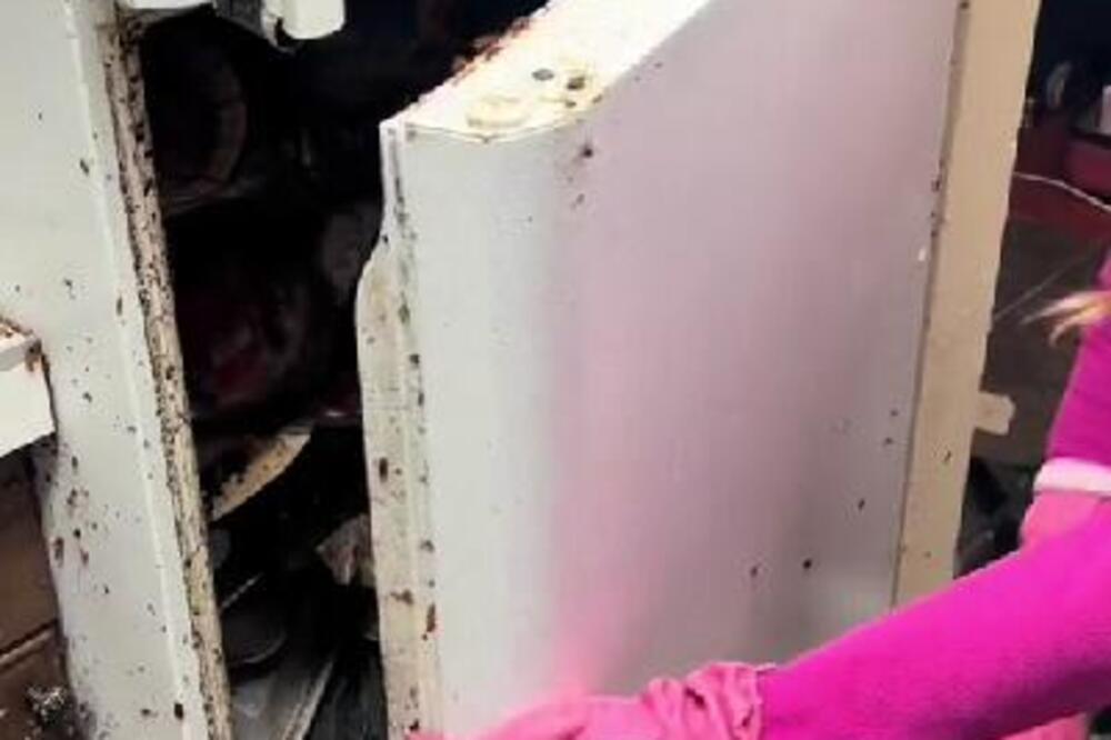 OVAKO SE NAJBOLJE ČISTI RĐA SA FRIŽIDERA: Čim je vidite odmah REAGUJTE, to ne sme da dođe u kontakt sa HRANOM