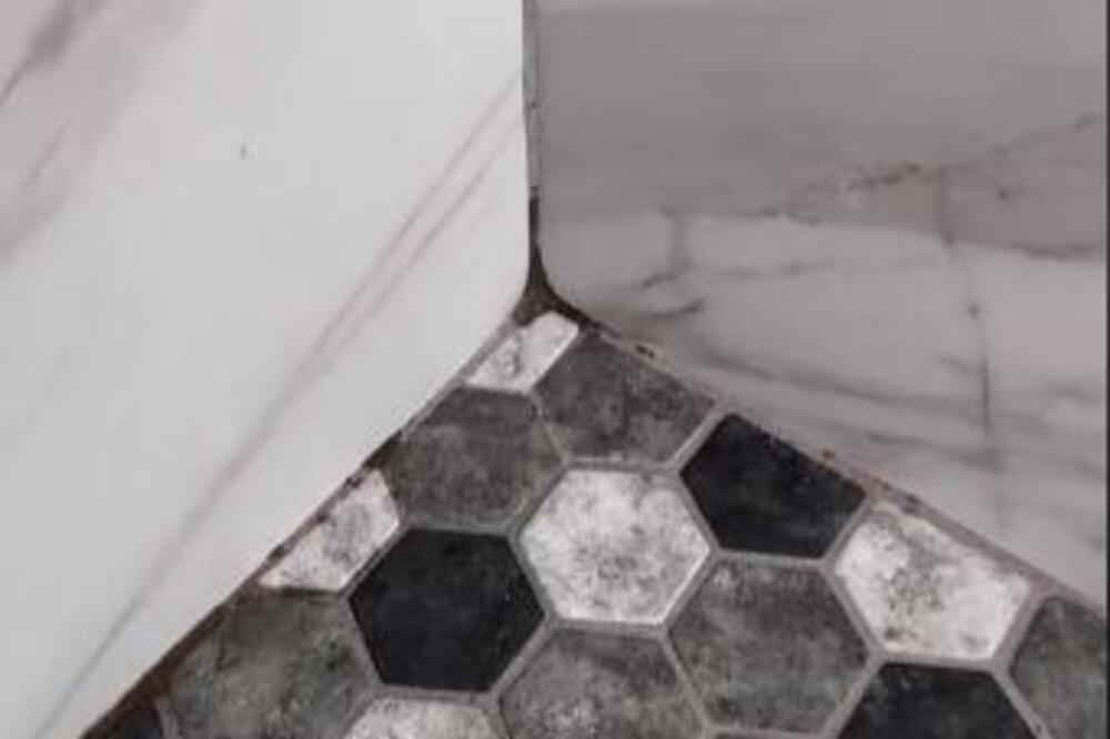 The best trick to remove mold naturally - Breaking News in USA Today