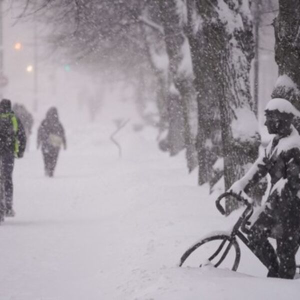 Evo kakvo nas vreme očekuje do kraja januara: Kako mesec odmiče, biće toplije, a nakon leda, stiže prolećna pojava!