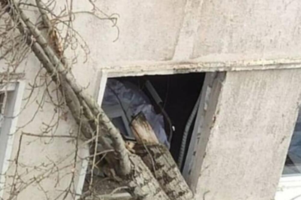NOĆAS SE ODIGRALA PRAVA DRAMA U ZVEZDARSKOJ BOLNICI: Drvo RAZBILO PROZOR, umalo da padne na krevet (FOTO)