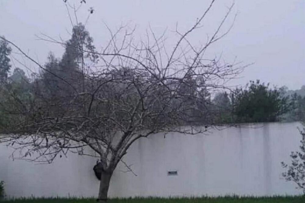 DOBRO POGLEDAJTE OVU FOTOGRAFIJU, LJUDI RAZBIJAJU GLAVU, NISU SIGURNI ŠTA VIDE: Svi TVRDE da je na njoj JEZERO FOTO