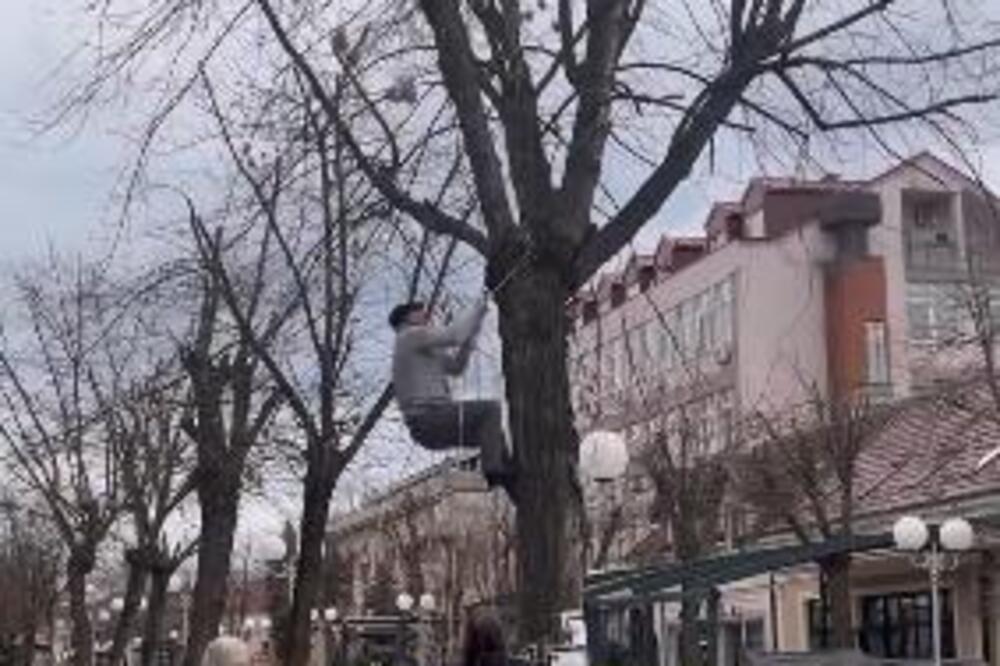 OVAJ ČOVEK IZ LAZAREVCA JE HEROJ DANA: Popeo se na drvo da bi spasao MACU SA DRVETA, svaka čast! (VIDEO)