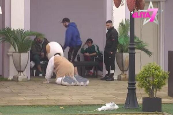 UROŠ ŽELI DA USREĆI JANJUŠA PO SVAKU CENU: Rešio da ISPUNI ZADATAK koji mu je zadat, evo kako sve IZGLEDA