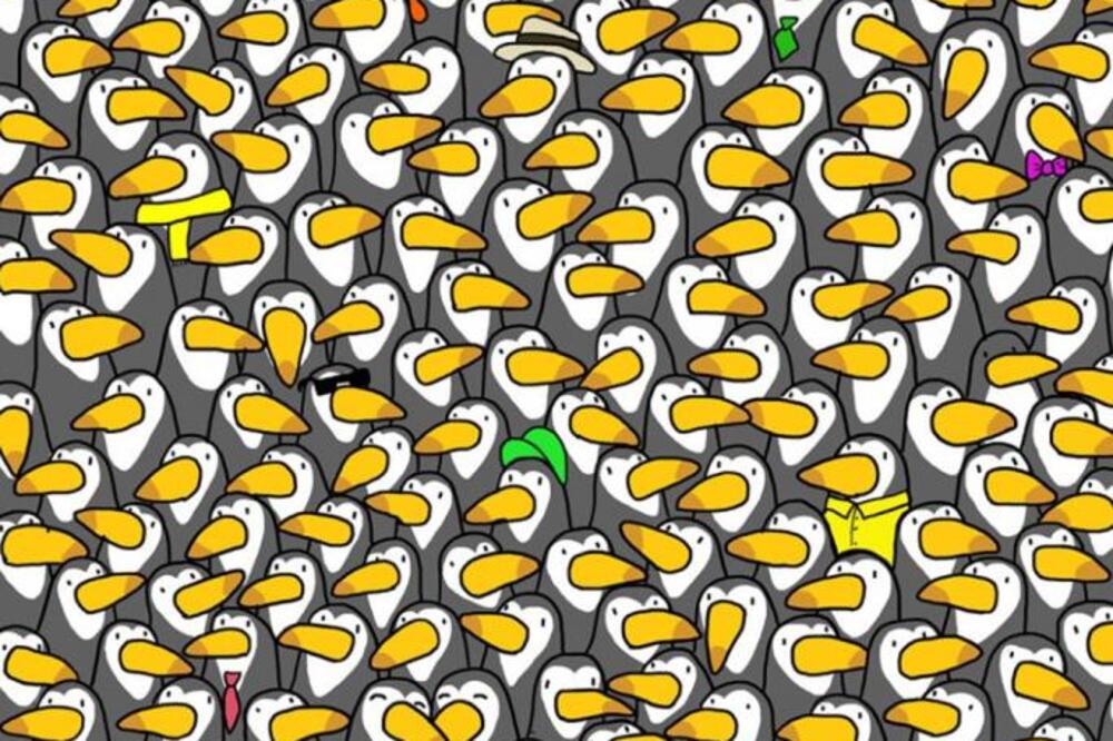 MOZGALICA SA PINGVINIMA ZALUDELA JE CEO SVET: Samo najpametniji ih nalaze na slici, imate 30 sekundi (FOTO)