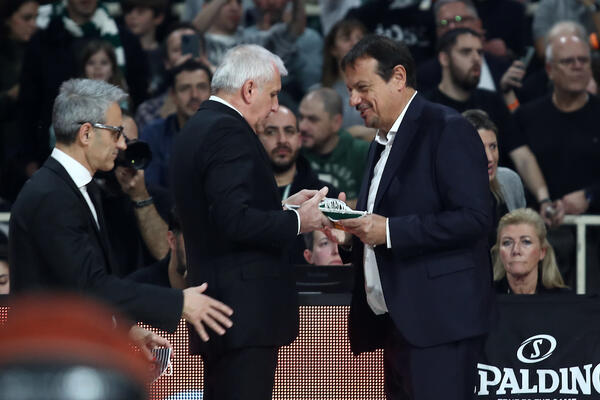 ZAGRMEO POSLE ŠOKANTNOG PORAZA: Trofejni stručnjak BESAN kao ris! (VIDEO)