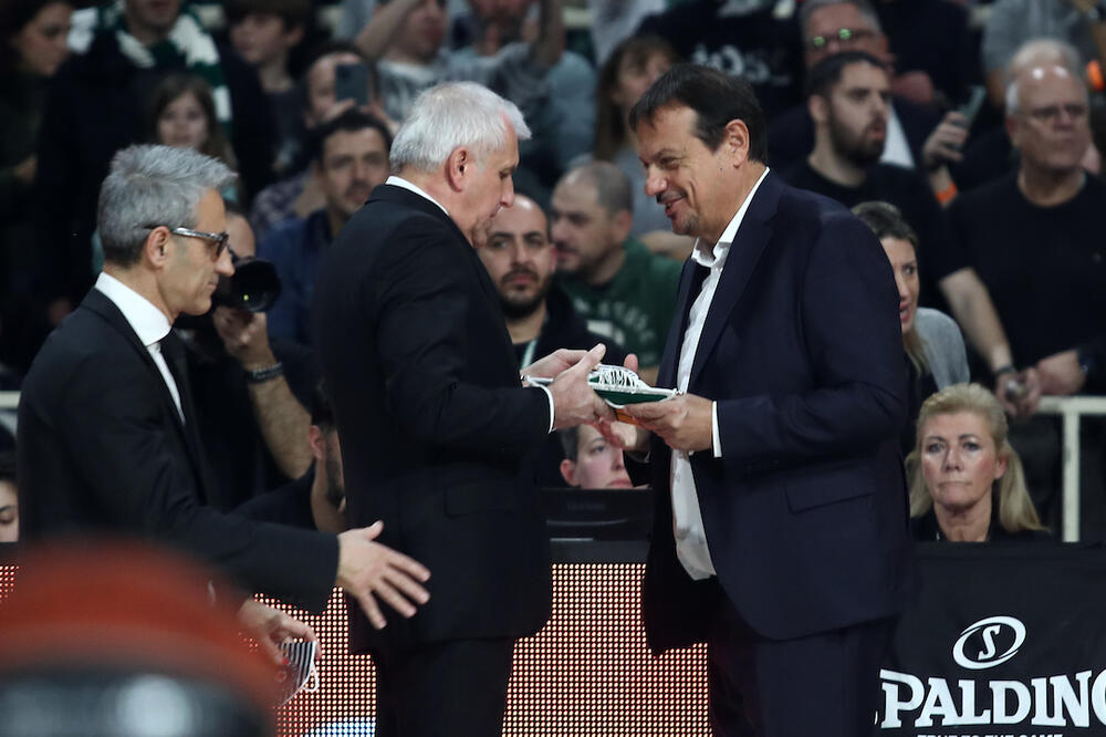 ZAGRMEO POSLE ŠOKANTNOG PORAZA: Trofejni stručnjak BESAN kao ris! (VIDEO)