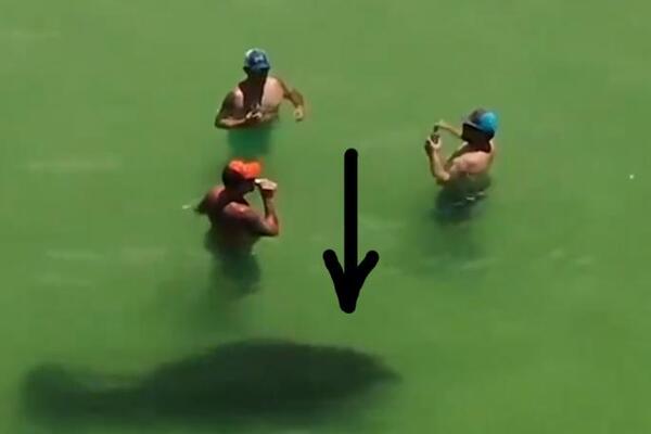 KUPALI SU SE U PLIĆAKU, A ONDA SU U VODI VIDELI NEŠTO OGROMNO I CRNO: Nastala vriska na plaži, kamere sve snimile