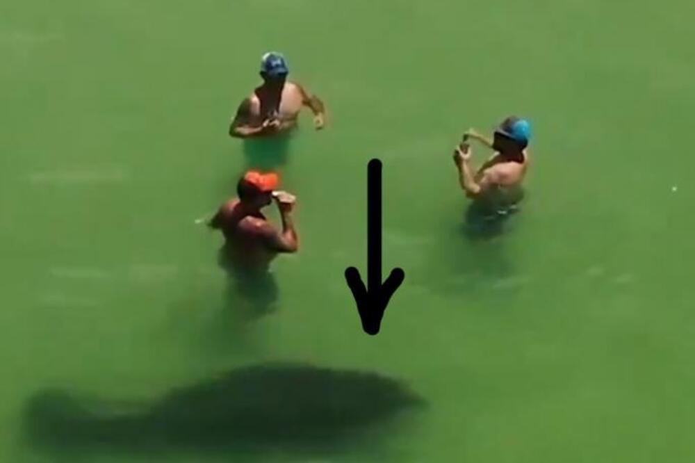 KUPALI SU SE U PLIĆAKU, A ONDA SU U VODI VIDELI NEŠTO OGROMNO I CRNO: Nastala vriska na plaži, kamere sve snimile