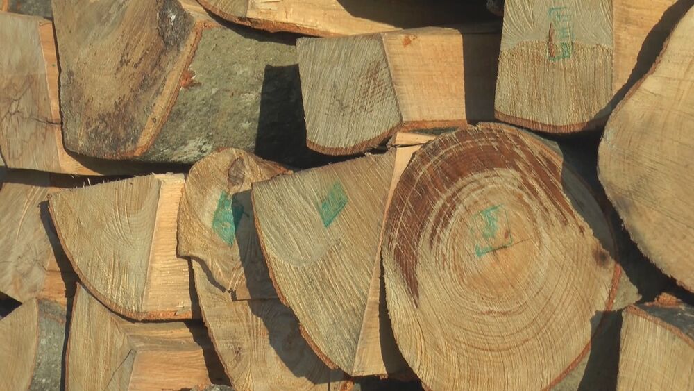 Drva za zimu