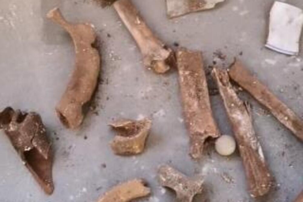 RENOVIRAO KUĆU PA NAIŠAO NA GOMILU KOSTIJU ZAKOPANE U PODU: Potražio na internetu pomoć i otkrio ČIJE SU (VIDEO)