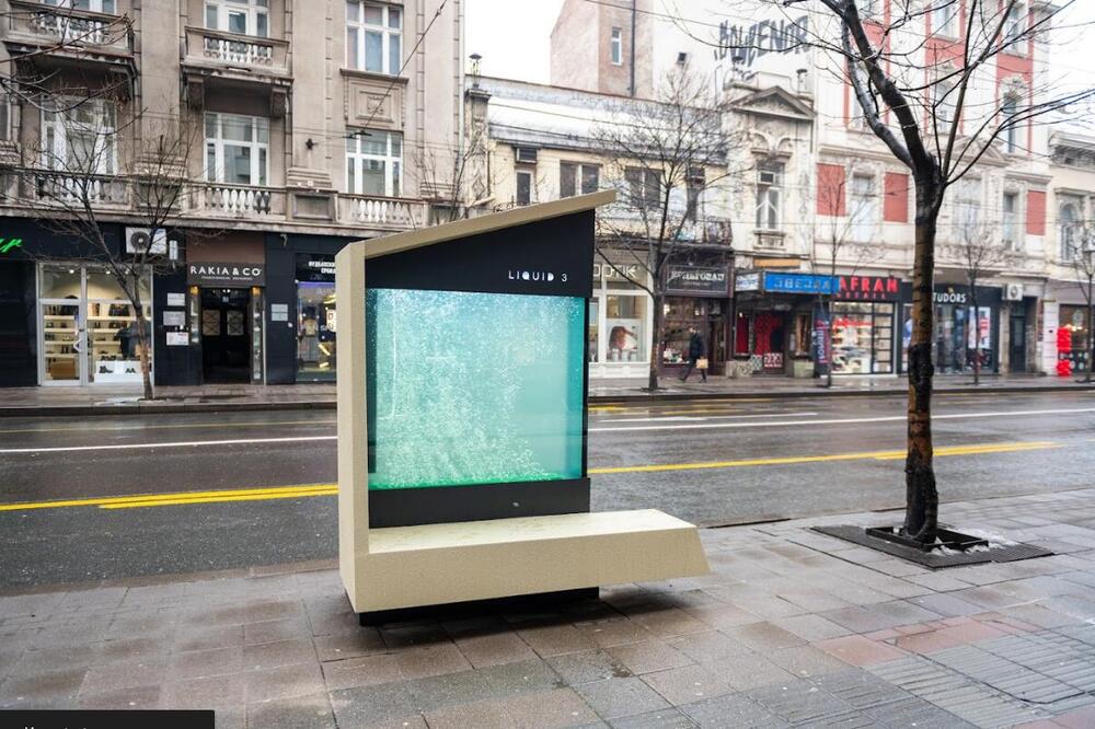 Srpski izum koji je osvojio čitav svet: Još jedno tečno drvo na Starom gradu