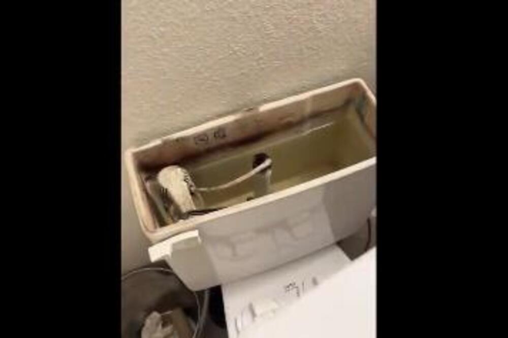 UBACITE JEDNU VOĆKU U VODOKOTLIĆ I CELO KUPATILO ĆE MIRISATI KAO PARFIMERIJA: Nijedan OSVEŽIVAČ nije ovako DOBAR