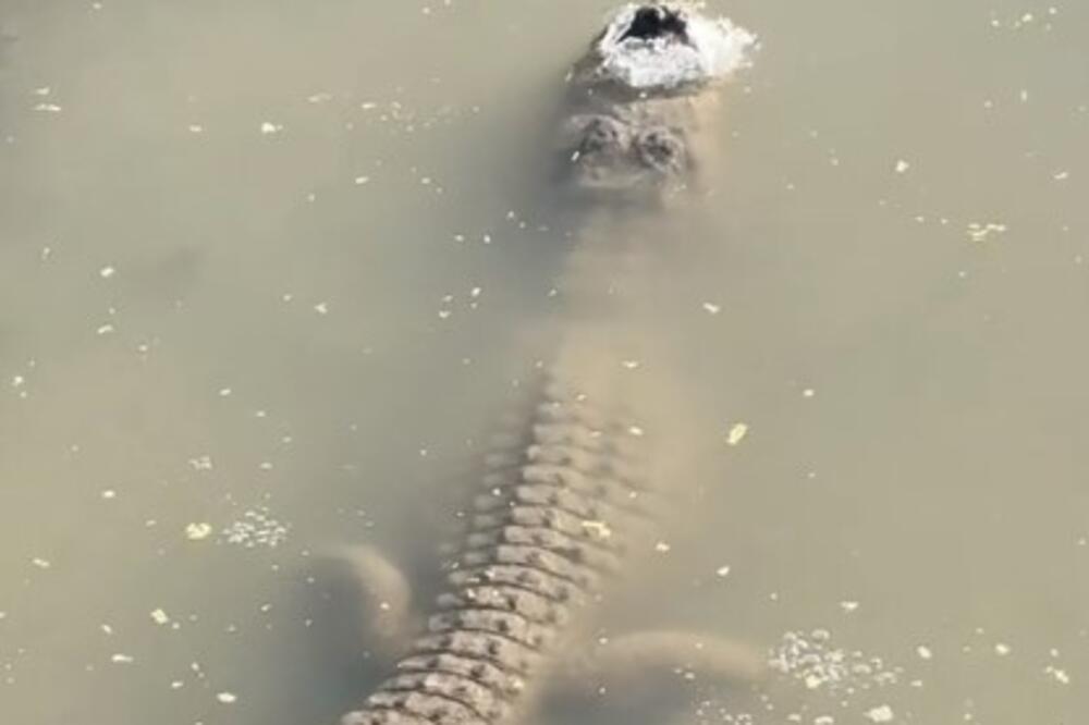 SNIMAK NEMANI KOJA VIRI IZ ZALEĐENOG JEZERA ŠOKIRALA SVET: Veruju da je mrtav, ali on ima način da PREVARI SMRT