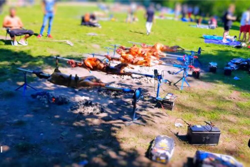 "LJUDI IZNOSE OVCE IZ AUTA, CELE I BEZ KOŽE": Sećate li se kad su BALKANCI frapirali NEMCE? Evo šta se DOGODILO...