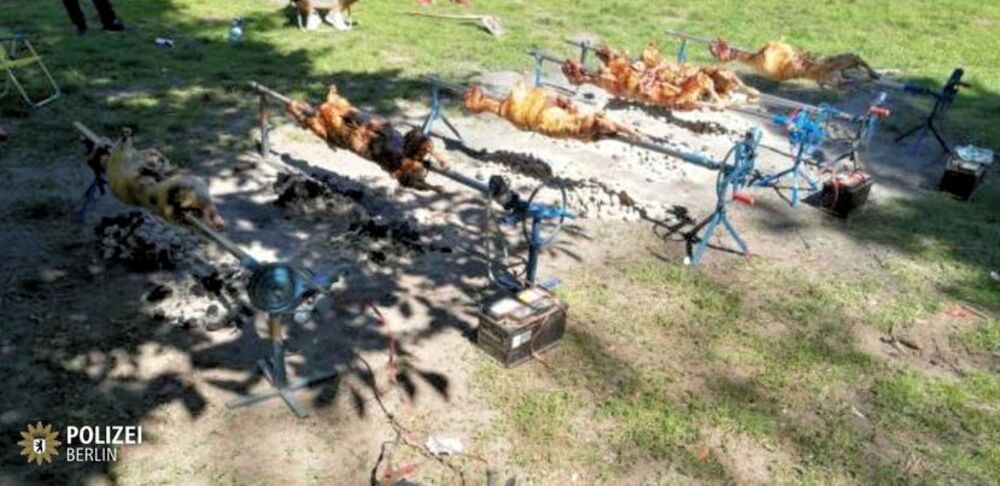 Proslavljanje Đurđevdana u parku u Berlinu 