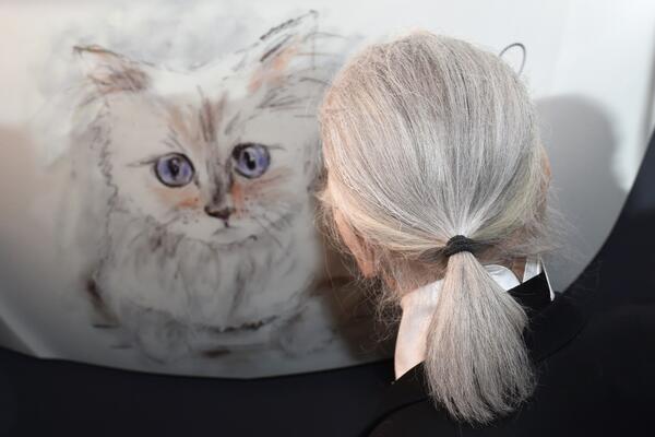 DEČKO GA VARAO, PA UMRO OD SIDE! BOGATSTVO JE PREPISAO MAČKI: Nije mogao da ZAMISLI da će se zaljubiti u ŽIVOTINJU