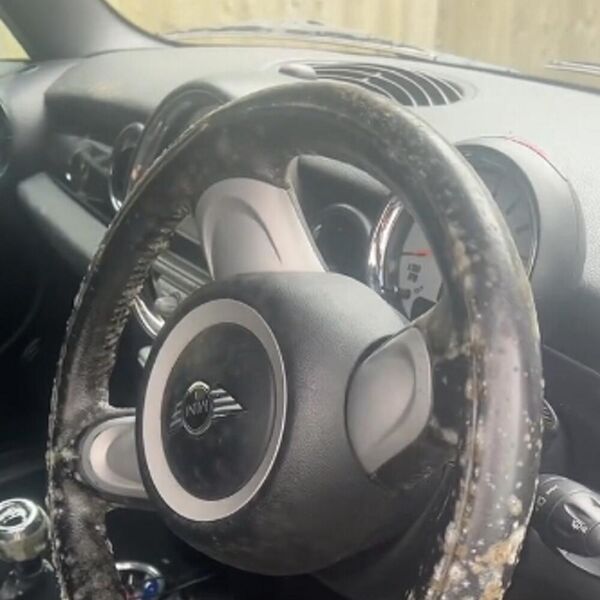 ŽENA UŠLA U SVOJ AUTOMOBIL I UMALO SE NIJE PREVRNULA: Pogledajte šta je prekrilo VOLAN I SEDIŠTA, TRESLA SE od šoka