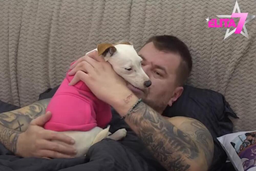 SVE O PSU O KOM BRUJI SRBIJA: Evo koje je RASE Janjušev ljubimac, OVO MORATE ZNATI o njima ako ih ŽELITE u DOMU