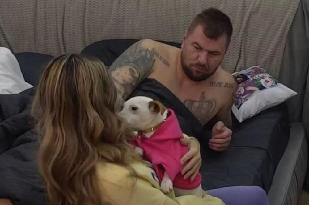 "JAOJ, ŠTO JE RUŽNA": Anelina REAKCIJA na Janjuševog PSA SVE ŠOKIRALA, on joj BRUTALNO ODGOVORIO