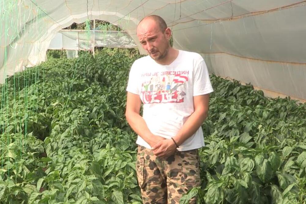 ZVEZDAŠ RAZVIO SAMO TAKAV BIZNIS: Aleksandar iz Niške Banje došao na SUPER IDEJU, malo KO bi se USUDIO OVO da PROBA