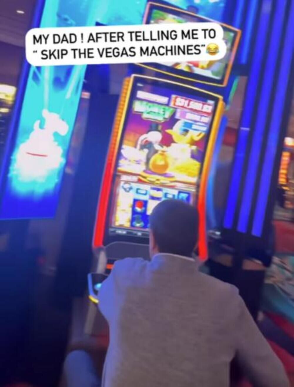 Kojići došli u Ameriku