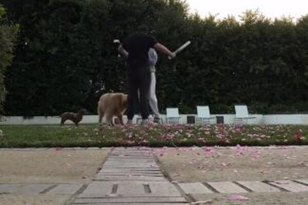 NJENOJ SREĆI NIJE BILO KRAJA: Sofija Riči saznala POL BEBE, manekenka SKALA OD SREĆE, pa se obratila KOMŠIJAMA