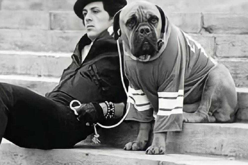 OVAJ GLUMAC JE BIO TAKO OČAJAN I SIROMAŠAN DA JE PRODAO PSA ZA 50 EVRA: Davio se u BEDI, a sad je SRBIMA OMILJEN