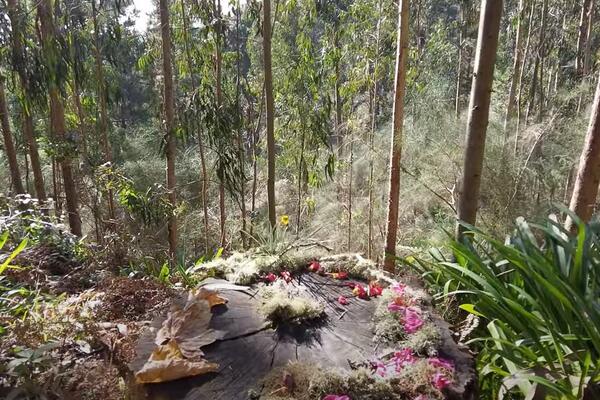 OSTRVO VEČNOG PROLEĆA I NEUKROĆENE DIVLJINE: Ovo mesto je raj za PLANINARENJE, nestvarni prizori ODUZIMAJU DAH