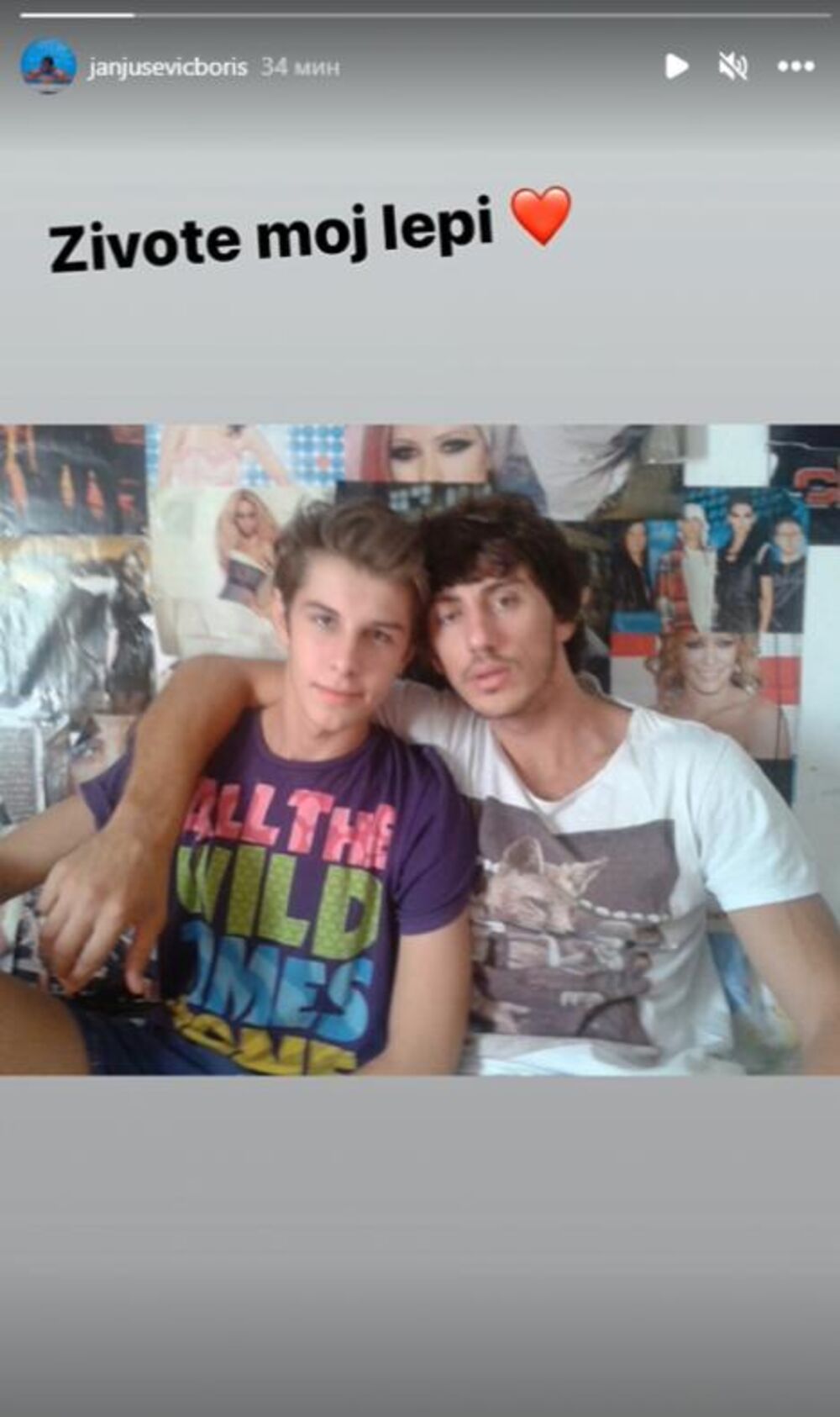 Objava Borisa Janjuševića