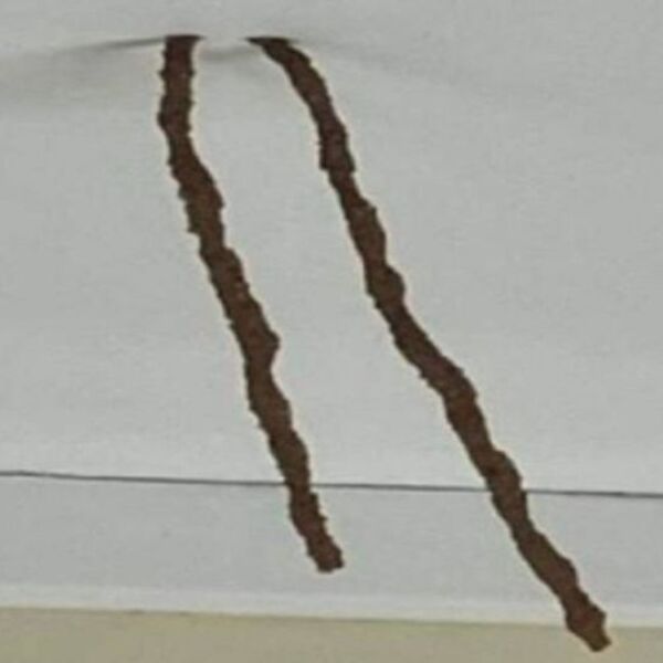 ŽENA PRONAŠLA DVE CEVI KOJE SU VISILE SA PLAFONA U KUPATILU: Kada je otkrila šta je to umalo se nije ONESVESTILA