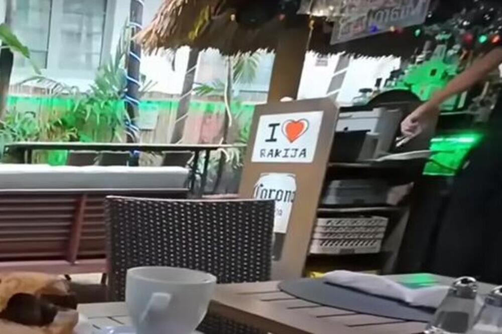 MILOŠ ŽIVI U KANADI A KAD JE DOŠAO NA FLORIDU, VIDEO JE OVO NA SRPSKOM: Nije mogao da veruje svojim očima