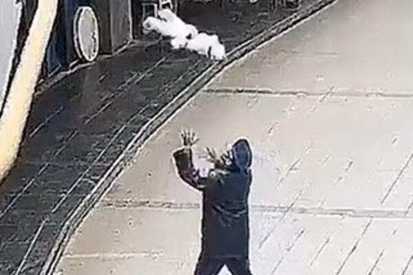 SCENA KAO IZ AKCIONIH FILMOVA! Policajac ugledao bebu kako PADA sa zgrade, pa HEROJSKI odreagovao, SVI MU KLIČU!