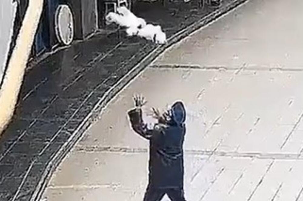 SCENA KAO IZ AKCIONIH FILMOVA! Policajac ugledao bebu kako PADA sa zgrade, pa HEROJSKI odreagovao, SVI MU KLIČU!