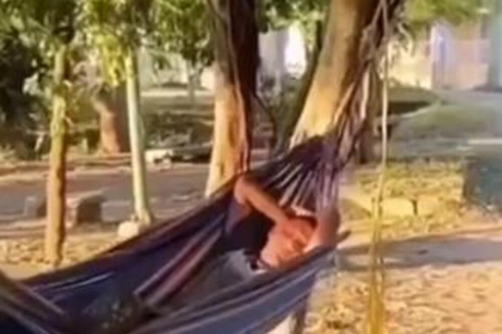 ODMARAO JE NA LJULJAŠCI A ONDA SE OVA LJIGAVA ZVERKA SRUČILA NA NJEGA: Toliko je VELIKA da se jedva IZVUKAO (VIDEO)