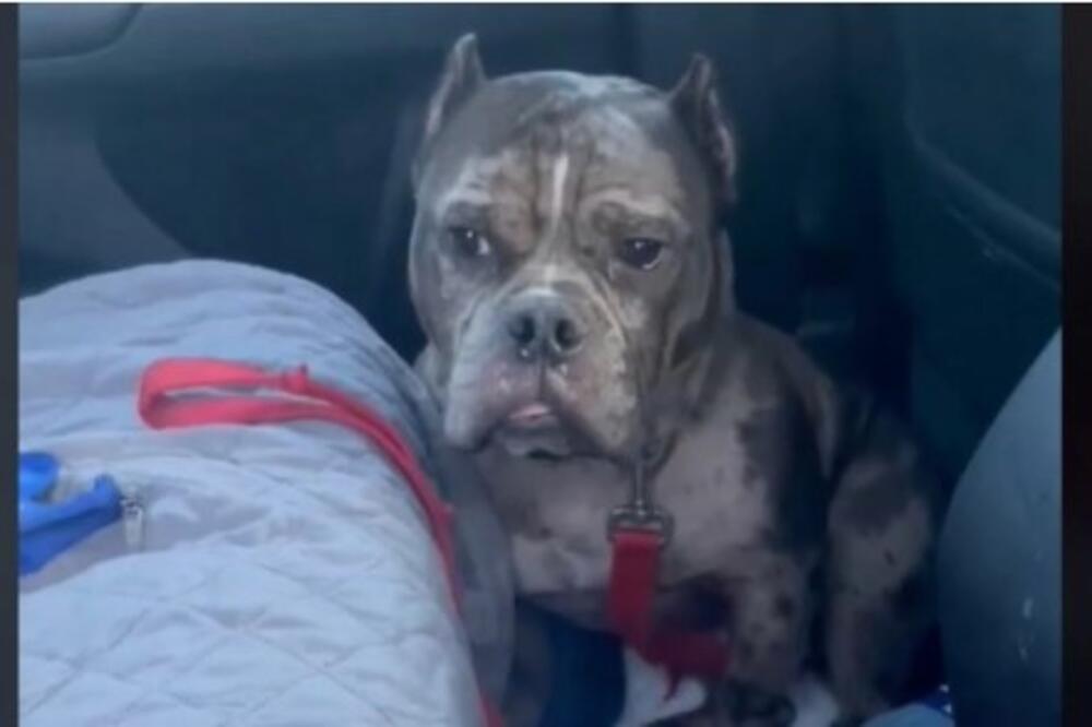 EVO ŠTA SVAKI PAS URADI KADA SE NAĐE U BLIZINI LOŠE OSOBE: On će vas ZAŠTITITI