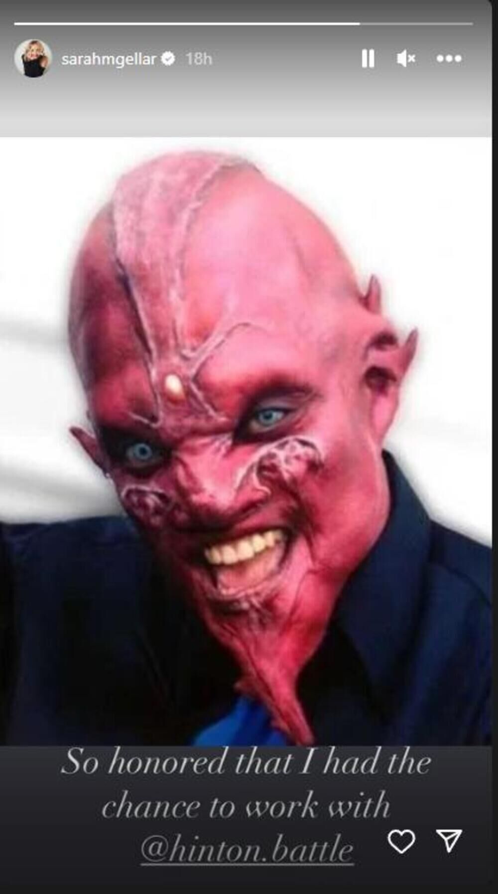 Glumica Sara Mišel Gelar takođe je odala poštu pokojnom glumcu