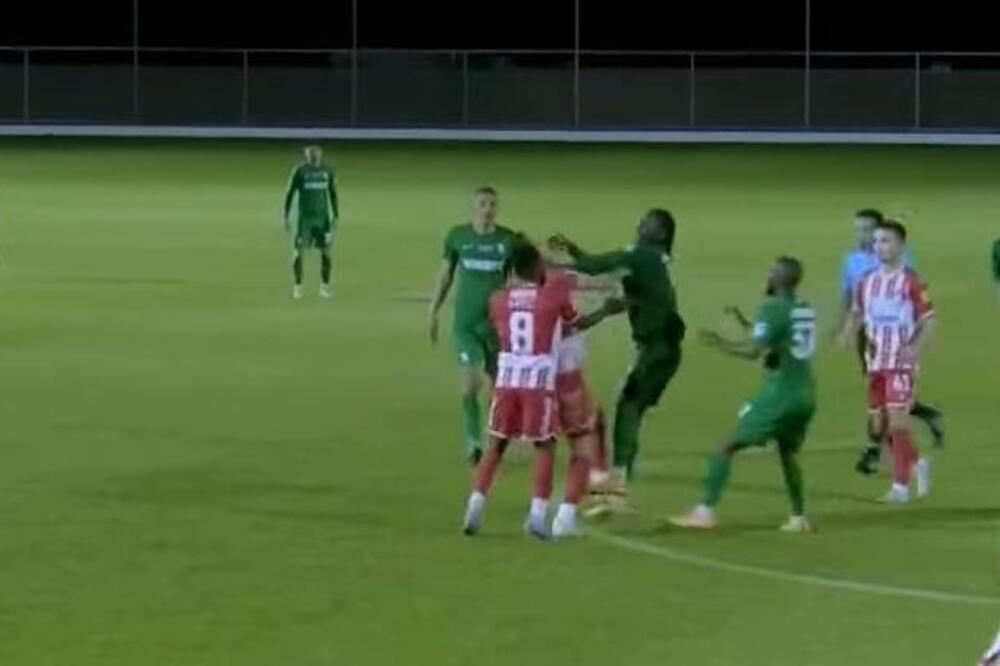 HAOS NA KIPRU: Zvezda se potukla sa Bugarima, Milojević povukao ekipu!