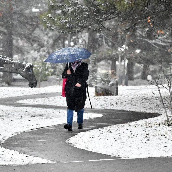 Bosna se zabelela na Aranđelovdan! Pao sneg širom zemlje, vozačima upućen hitan apel (FOTO)