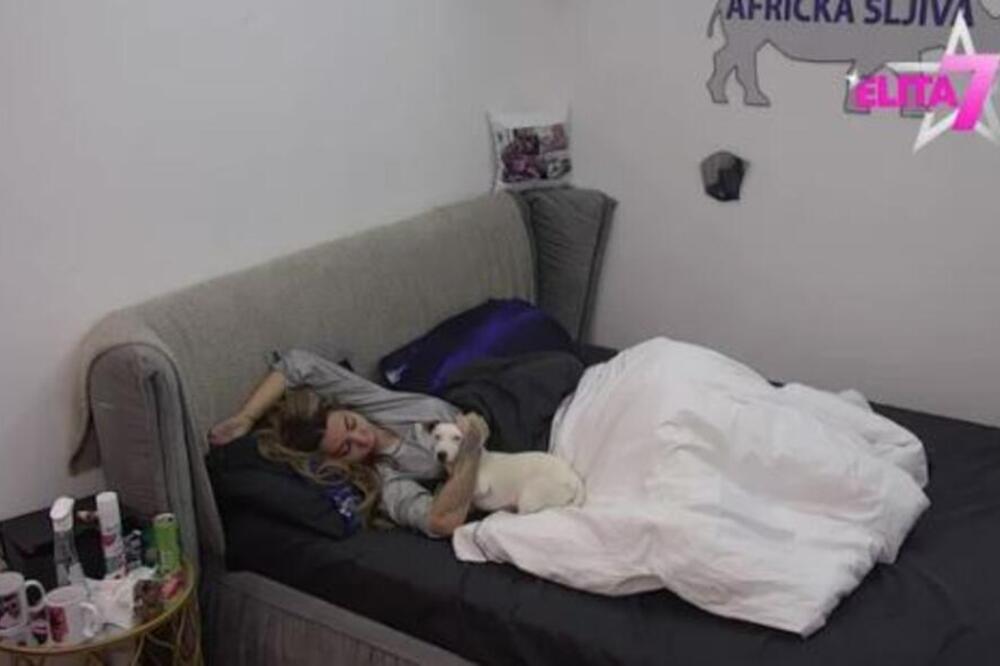 OVO JE NEŠTO NAJODVRATNIJE ŠTO ĆETE VIDETI! ANELI AHMIĆ POKAZALA KOLIKO JE ALJKAVA: Nacija ostala ZAPANJENA