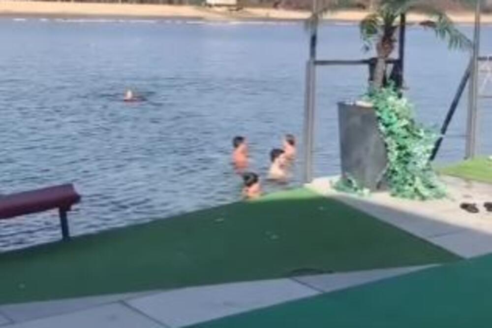 KUPANJAC NA ADI CIGANLIJI USRED ZIME: Uskočili u LEDENU VODU, pa počeli sa IGRARIJAMA (VIDEO)