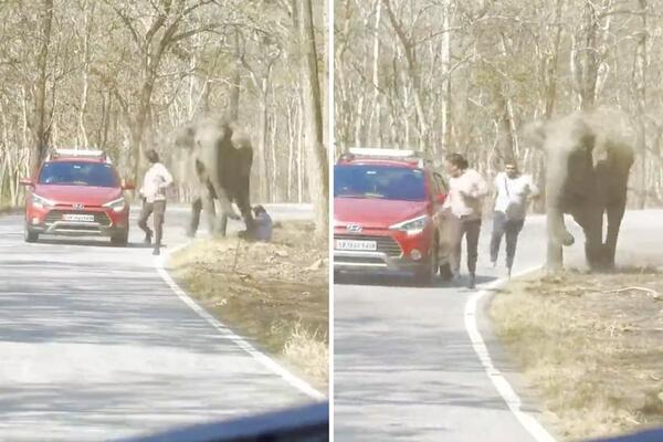 GRDOSIJA NAPRAVILA HAOS NASRED ULICE! Ljudi bežali U PANICI, malo je FALILO DA JEDNOG ČOVEKA... (VIDEO)